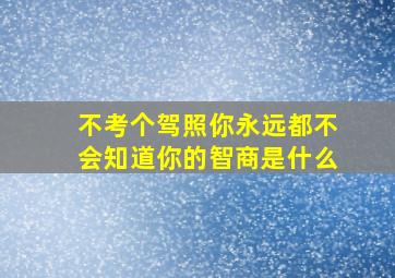 不考个驾照你永远都不会知道你的智商是什么