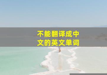 不能翻译成中文的英文单词