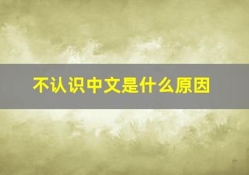 不认识中文是什么原因