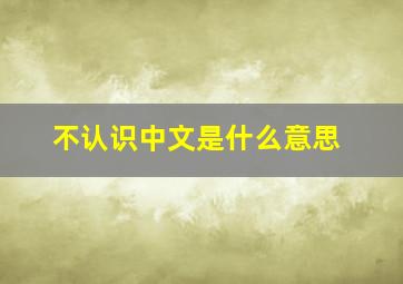 不认识中文是什么意思