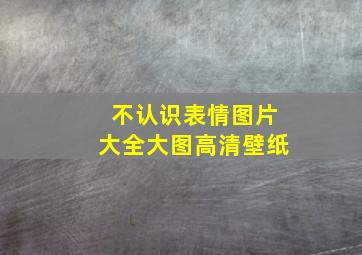 不认识表情图片大全大图高清壁纸