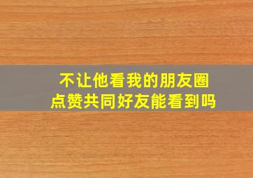 不让他看我的朋友圈点赞共同好友能看到吗