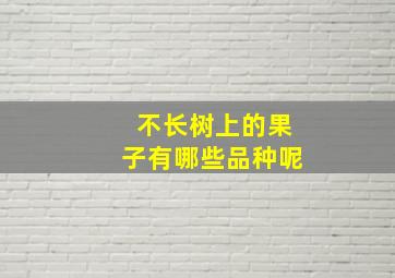 不长树上的果子有哪些品种呢