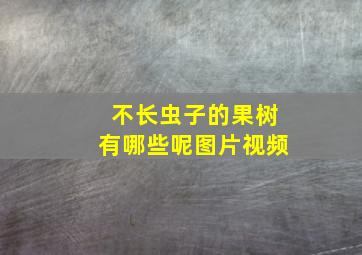 不长虫子的果树有哪些呢图片视频