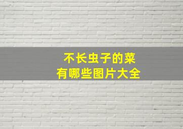 不长虫子的菜有哪些图片大全