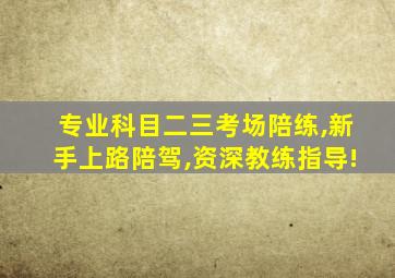 专业科目二三考场陪练,新手上路陪驾,资深教练指导!