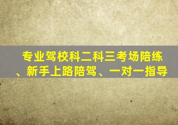 专业驾校科二科三考场陪练、新手上路陪驾、一对一指导