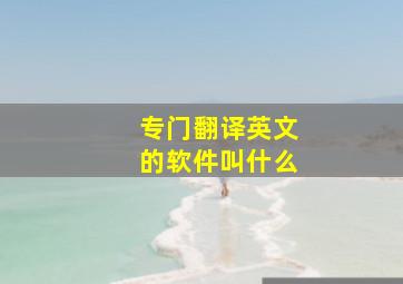 专门翻译英文的软件叫什么