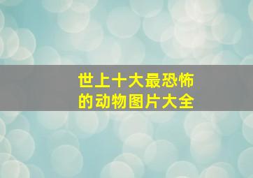 世上十大最恐怖的动物图片大全