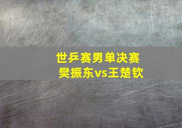 世乒赛男单决赛樊振东vs王楚钦