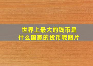 世界上最大的钱币是什么国家的货币呢图片