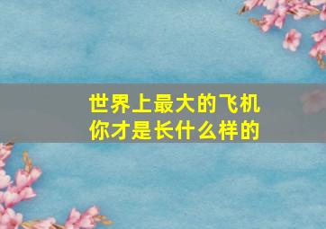 世界上最大的飞机你才是长什么样的