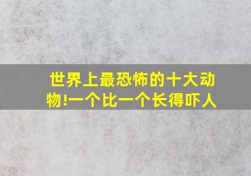 世界上最恐怖的十大动物!一个比一个长得吓人