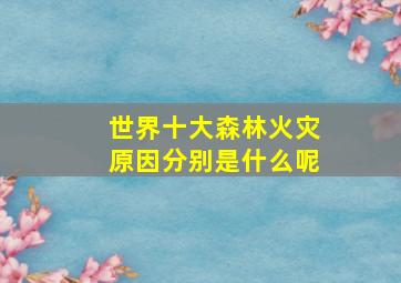 世界十大森林火灾原因分别是什么呢