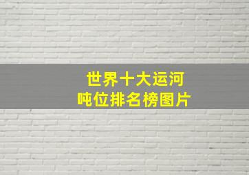 世界十大运河吨位排名榜图片