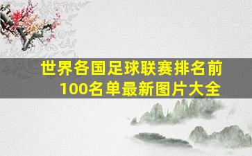 世界各国足球联赛排名前100名单最新图片大全