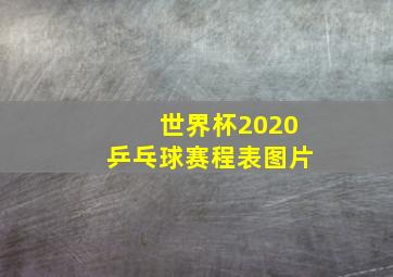 世界杯2020乒乓球赛程表图片