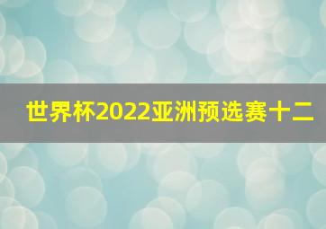 世界杯2022亚洲预选赛十二