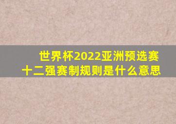 世界杯2022亚洲预选赛十二强赛制规则是什么意思