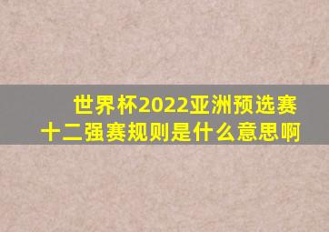 世界杯2022亚洲预选赛十二强赛规则是什么意思啊