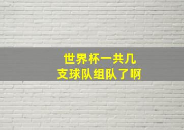 世界杯一共几支球队组队了啊