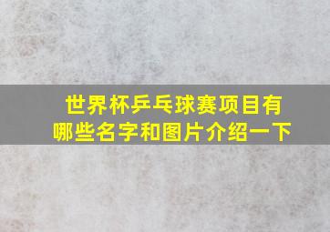 世界杯乒乓球赛项目有哪些名字和图片介绍一下