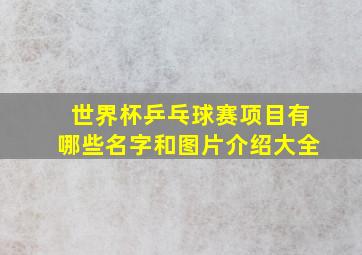 世界杯乒乓球赛项目有哪些名字和图片介绍大全