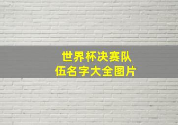 世界杯决赛队伍名字大全图片