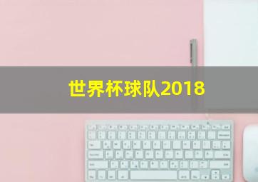 世界杯球队2018