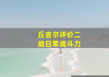 丘吉尔评价二战日军战斗力