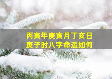 丙寅年庚寅月丁亥日庚子时八字命运如何