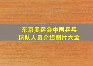 东京奥运会中国乒乓球队人员介绍图片大全