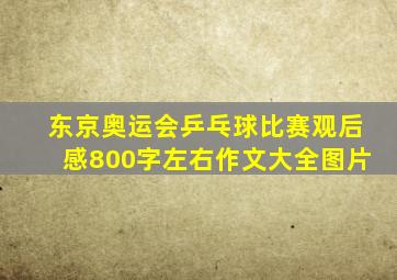 东京奥运会乒乓球比赛观后感800字左右作文大全图片