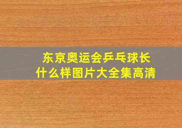 东京奥运会乒乓球长什么样图片大全集高清