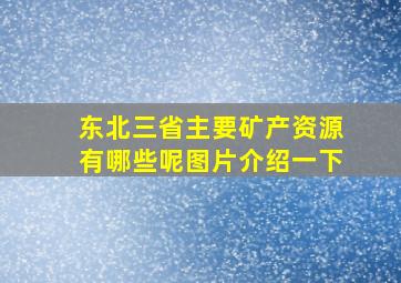 东北三省主要矿产资源有哪些呢图片介绍一下