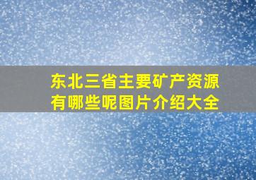 东北三省主要矿产资源有哪些呢图片介绍大全