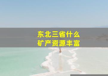 东北三省什么矿产资源丰富