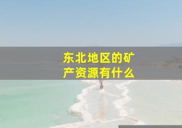 东北地区的矿产资源有什么