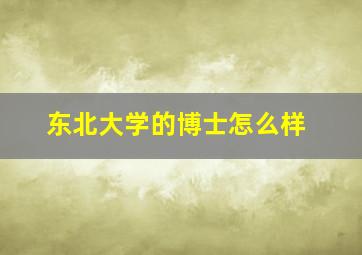 东北大学的博士怎么样