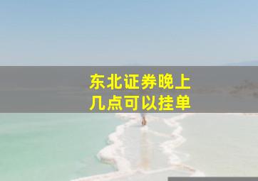 东北证券晚上几点可以挂单