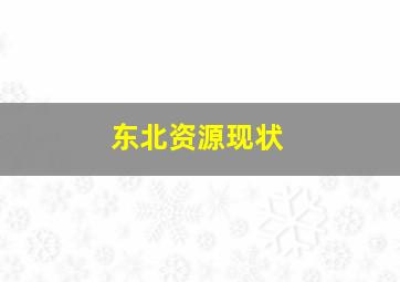 东北资源现状