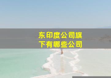 东印度公司旗下有哪些公司