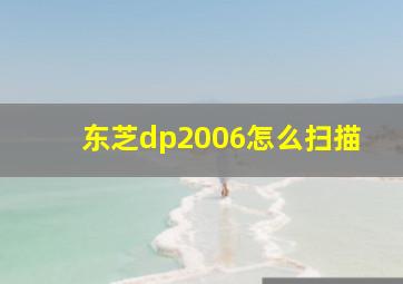 东芝dp2006怎么扫描