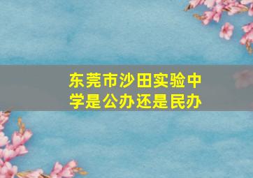 东莞市沙田实验中学是公办还是民办