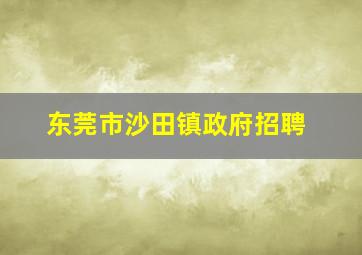 东莞市沙田镇政府招聘