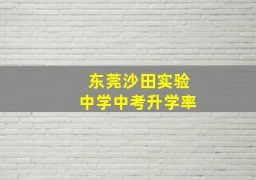 东莞沙田实验中学中考升学率