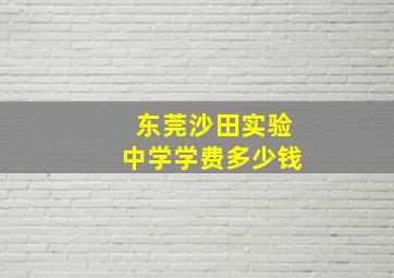 东莞沙田实验中学学费多少钱