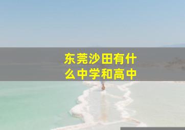 东莞沙田有什么中学和高中