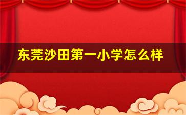 东莞沙田第一小学怎么样