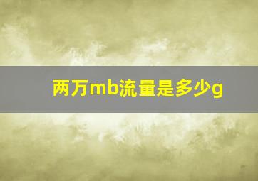 两万mb流量是多少g